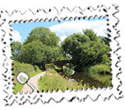 A section of the glorious Grand Western Canal near Tiverton