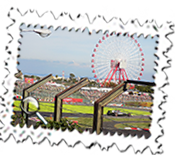 A Haas close to the iconic Ferris Wheel at Suzuka