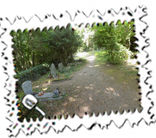 Celignys Vieux Cimetiere (Old Cemetery) which contains the graves of Richard Burton (second on the left) and Alistair Maclean (further up on the right)