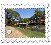 Siem Reap has a very pleasant green area