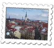 A bird surveys Tallinn's Old Town from one of the viewing platforms