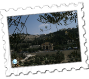 The Mount of Olives by day