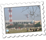 Goats hold up play at a cricket match in front of Calcutta's iconic Eden Gardens