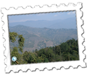 Mountain view from Mirik in West Bengal