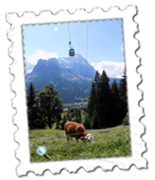 A typical Swiss scene with the Eigernordwand in the background