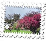 All Saints Church in Bingley